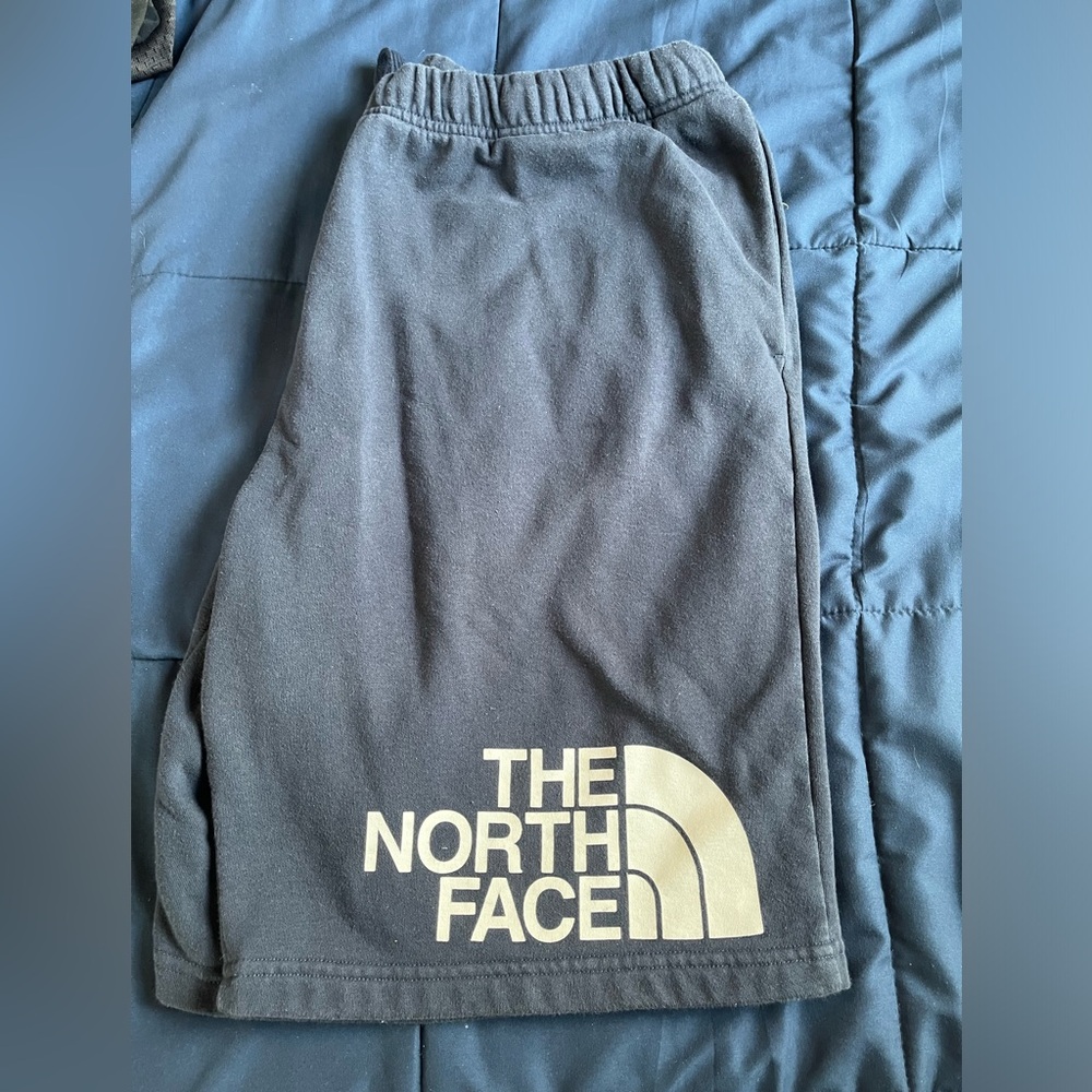 Mens North Face Shorts